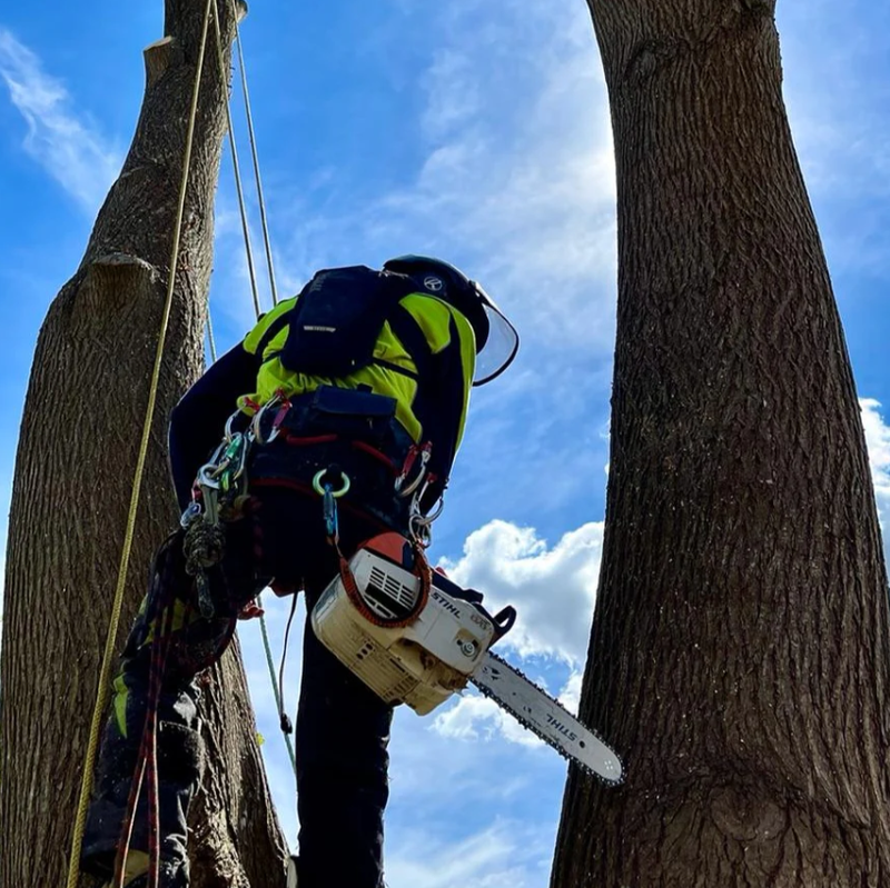 Reecoil Standard Chainsaw Lanyard  V2